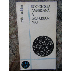 Sociologia americana a grupurilor mici - Mihu Achim