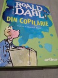 ROALD DAHL-DIN COPILARIE