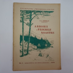 ARBORII SI PADURILE NOASTRE-D.A.SBURLAN-1936.Z1.