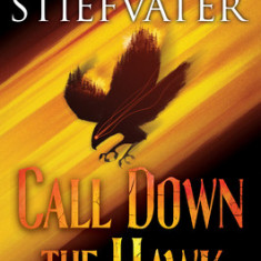 Call Down the Hawk (the Dreamer Trilogy, Book 1)