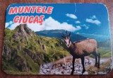 D1 - Magnet frigider - tematica turism - Muntele Ciucas - Romania 85