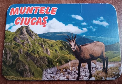 D1 - Magnet frigider - tematica turism - Muntele Ciucas - Romania 85 foto