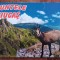 D1 - Magnet frigider - tematica turism - Muntele Ciucas - Romania 85