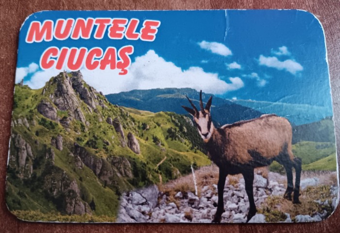 D1 - Magnet frigider - tematica turism - Muntele Ciucas - Romania 85