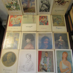 Set 16 albume pictori și sculptori străini, edidtura FERNAND HAZAN, Paris