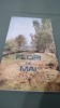 PLIANT/BROSURA FLORI DE MAI-BISTRTA NASAUD 1971