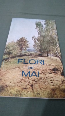 PLIANT/BROSURA FLORI DE MAI-BISTRTA NASAUD 1971 foto