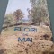 PLIANT/BROSURA FLORI DE MAI-BISTRTA NASAUD 1971