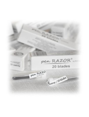 Lame pentru stiloul de ras Razor foto