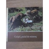 GUITEL, PUIUL DE MISTRET-HERBERT SEYFARTH-171050