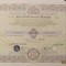 PVM - &quot;Actiune Nominativa 10000 lei Banca Internationala a Religiilor BIR 1998&quot; / RARA