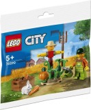LEGO City 30590 Farm Garden &amp; Scarecrow polybag