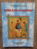Mare este Dumnezeu - Preot Mihail Milea, Editura Alpha MDN, 2008, 270 pagini, Carte Crestinism