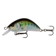 Vobler Clean Kenart Hunter 3cm / 2.5gr (floating) HU3F-GG