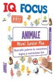 Cumpara ieftin Iq Focus: Animale.Nivel Junior Plus, - Editura Gama