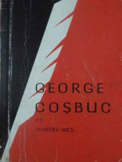 GEORGE COSBUC-DUMITRU MICU foto