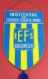 Fanion Institutul de Educatie Fizica si Sport - IEFS BUCURESTI
