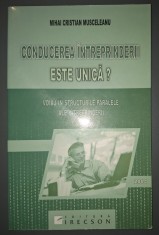 Mihai Cristian Musceleanu - Conducerea intreprinderii este unică?