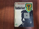 Labirint de P.Sestakov