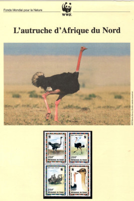 Ciad 1996 - Struțul african, set WWF, 6 poze, MNH (vezi descrierea) foto