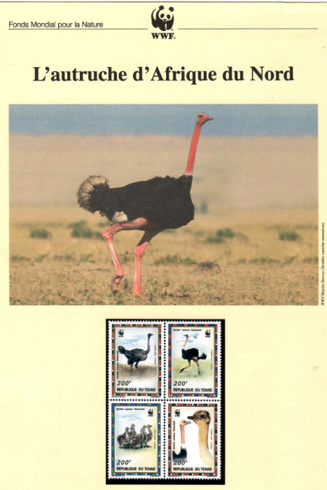 Ciad 1996 - Struțul african, set WWF, 6 poze, MNH (vezi descrierea)