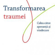 Transformarea traumei. Calea catre speranta si vindecare - James S. Gordon