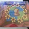 Marcy -playground - g
