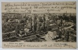 SATU MARE , PANORAMA AERIANA , CARTE POSTALA ILUSTRATA , CLASICA , DATATA 1903