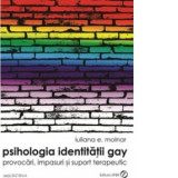 Psihologia identitatii Gay - provocari, impasuri si suport terapeutic - Iuliana Elena MOLNAR