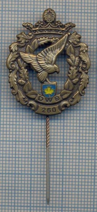 AX 235 INSIGNA -TURISM MONTAN - DRUMETIE MONTANA- ,,DWB&quot; 260 -FRUMOASA