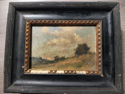 Tablou Misu Teisanu foto