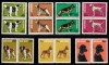 A11 TX10 7 - 1981 - Expozitia nationala canina - perechi de cate doua timbre, Caini, Nestampilat
