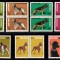 A11 TX10 7 - 1981 - Expozitia nationala canina - perechi de cate doua timbre