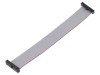 Cablu panglică SAMTEC IDC 127mm FFSD-12-D-05.00-01-N cu conectori IDC ambele părți