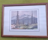 Tablou inramat, acuarela "August Color" autor Vaughn Butland