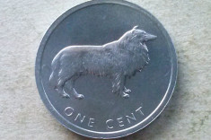 MONEDA 1 CENT 2003-INSULELE COOK (Border Collie) foto