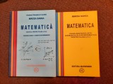 MATEMATICA MANUAL PENTRU CLASA A X A M1/PROBLEME REZOLVATE MIRCEA GANGA