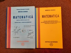 MATEMATICA MANUAL PENTRU CLASA A X A M1/PROBLEME REZOLVATE MIRCEA GANGA