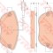 Set placute frana,frana disc FIAT PUNTO (199) (2012 - 2016) TRW GDB1829