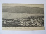 Carte postala Bocsa Montana,circulata 1924, Printata