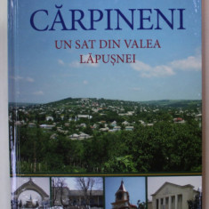 CARPINENI , UN SAT DIN VALEA LAPUSNEI de VICTOR MOCANU si DINU POSTARENCU , 2014