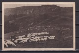 BUCEGI 1964 CIRCULATA STARE F. BUNA