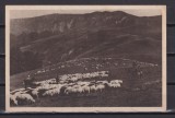 BUCEGI 1964 CIRCULATA STARE F. BUNA, Fotografie