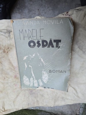 Marele ospat - Sanda Movilă foto