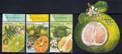 MALAYSIA 2018 FRUCTE CITRICE foto