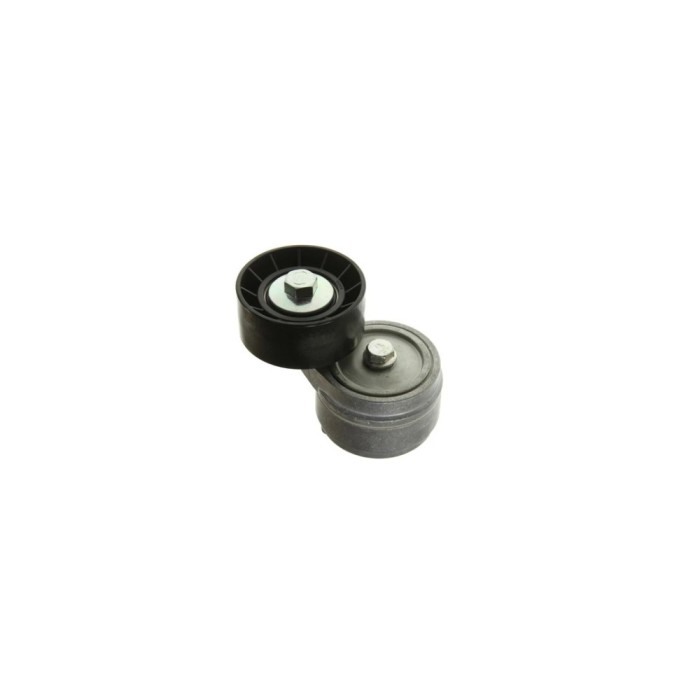 Intinzator curea FIAT DOBLO microbus 223 119 DAYCO APV1077