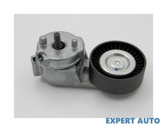 Intinzator curea Jeep Wrangler 3 (2006-&gt;)[JK] #1