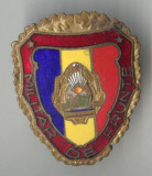 MILITAR DE FRUNTE varianta culoare la stema, anii 1970 - insigna militara Rara