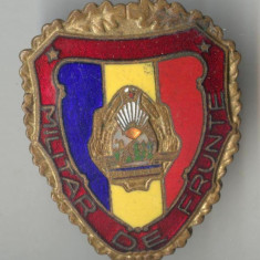 MILITAR DE FRUNTE varianta culoare la stema, anii 1970 - insigna militara Rara