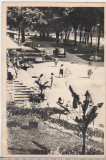 Bnk cp Calimanesti - Parcul - circulata 1955 - Libraria noastra 318, Printata